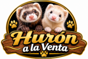 Hurón a la venta